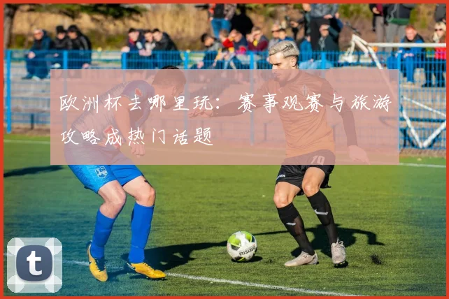 欧洲杯去哪里玩：赛事观赛与旅游攻略成热门话题
