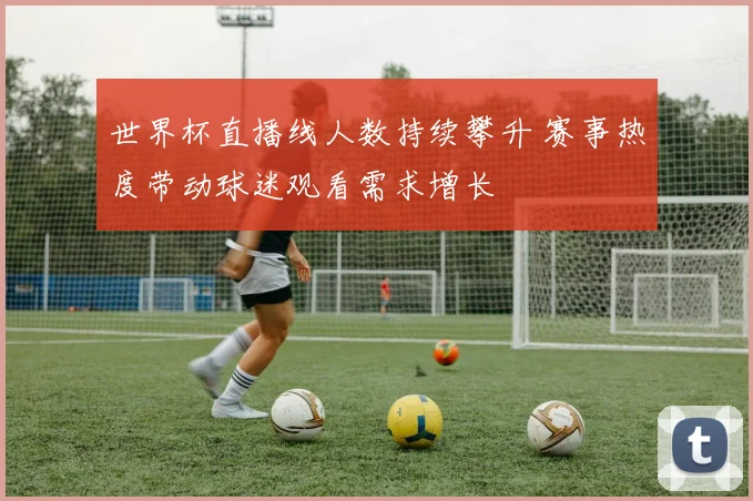 世界杯直播线人数持续攀升 赛事热度带动球迷观看需求增长