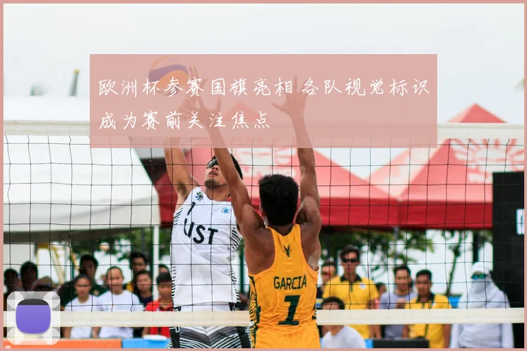 欧洲杯参赛国旗亮相 各队视觉标识成为赛前关注焦点