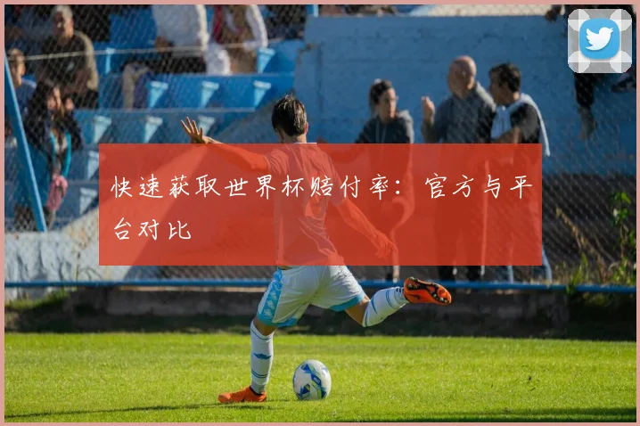 快速获取世界杯赔付率：官方与平台对比