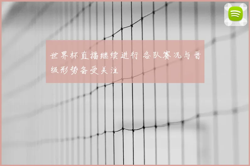世界杯直播继续进行 各队赛况与晋级形势备受关注